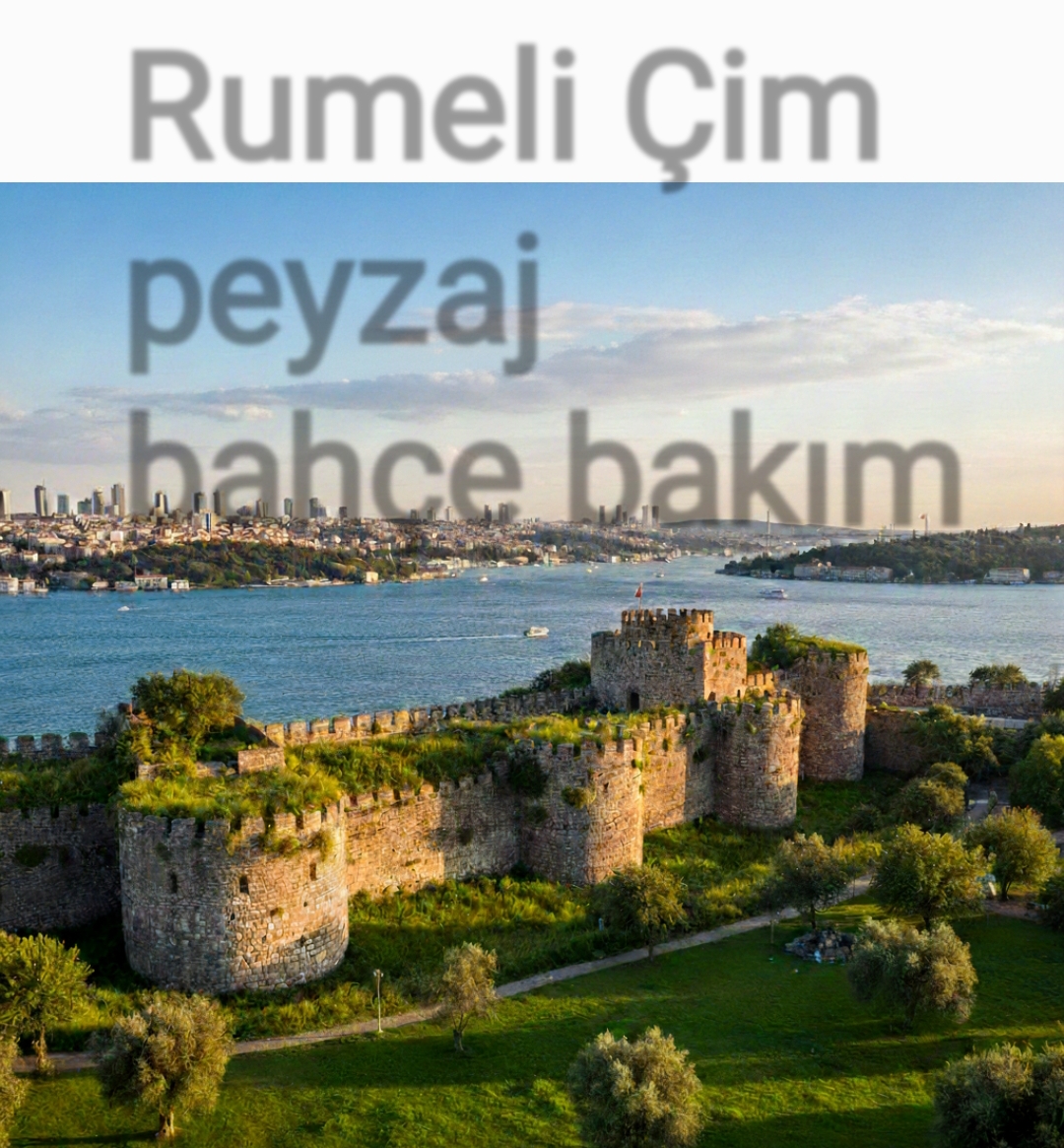 8 Mart Dünya kadınlar günü..